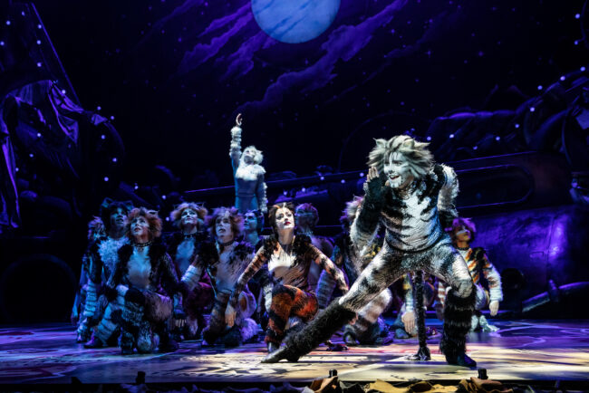 Dan Hoy as 'Munkustrap' and the North American Tour of CATS. Photo by Matthew Murphy (2019)
