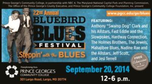 Bluebird Blues