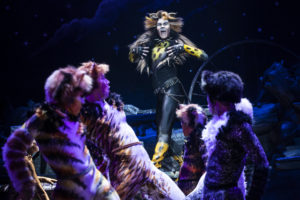 McGee Maddox as 'Rum Tug Tugger' and the North American Tour Company of CATS. Photo by Matthew Murphy (2019)